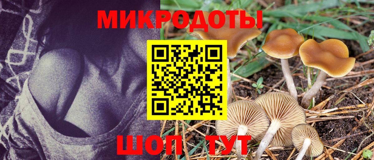 Галлюциногенные грибы Magic Shrooms  Вход с VPN  Шали 